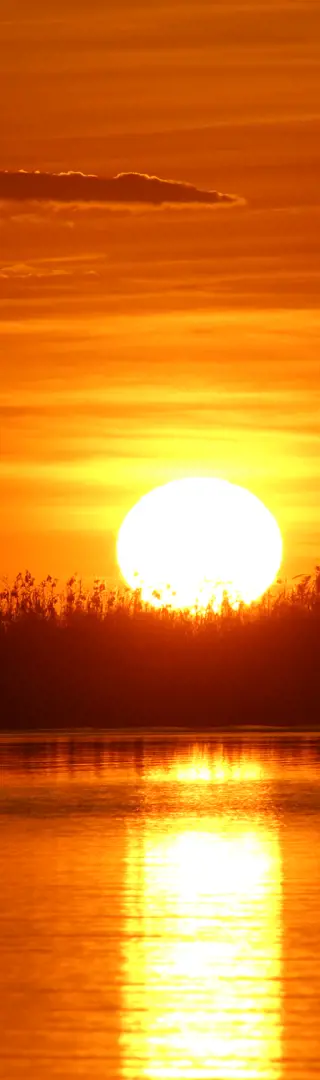Afrikanischer Sonnenuntergang